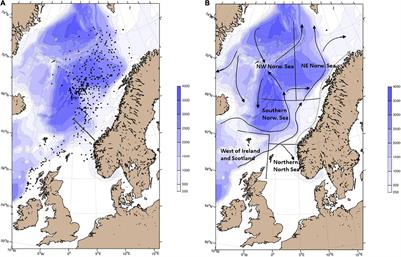 Impacts of a Changing Ecosystem on the Feeding and Feeding Conditions for Atlantic Salmon During the First Months at Sea